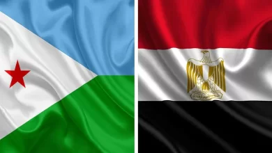 بيان مشترك مصر جيبوتى