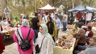 جامعة هليوبوليس
