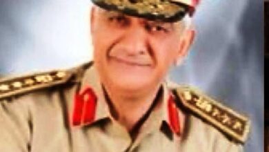 عونى عزيز 2