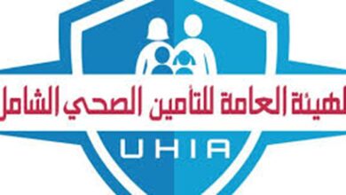 التأمين
