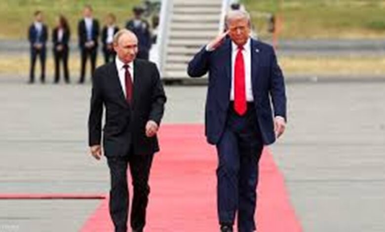 السجادة الحمراء2