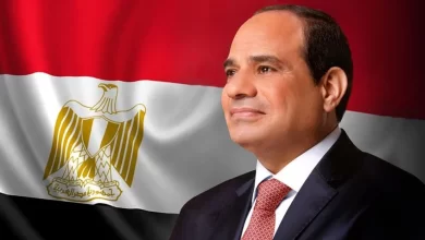الرئيس السيسى