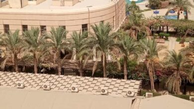 العين السخنة