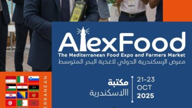 الاسكندرية