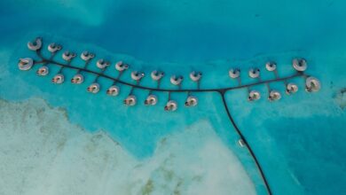 الذكاء الاصطناعى