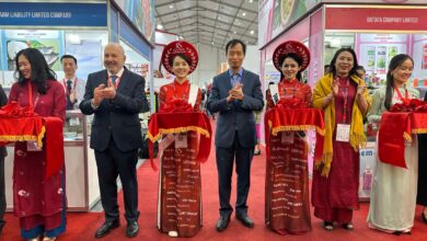 الشركات الفيتنامية