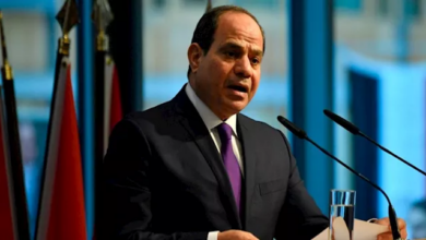 الرئيس السيسى