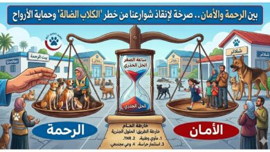 الرحمة