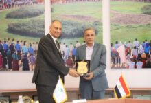 جامعة هليوبوليس