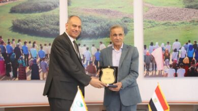 جامعة هليوبوليس