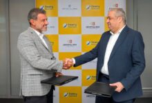 كريستال مايند