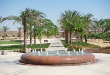 الجامعة