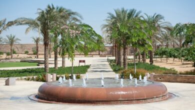 الجامعة