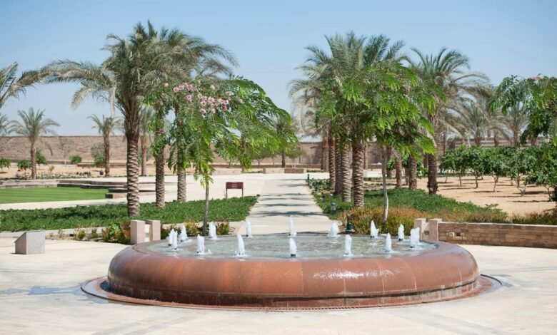 الجامعة