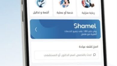 فيزيتا