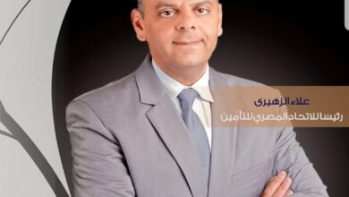 التأمين